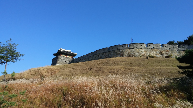 4K, suwon, wall, fortified wall, architecture, mars, day, old, outdoors, plant, travel destinations, castle, blue, building exterior, built structure