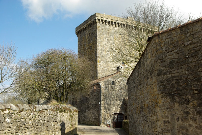 nature, old, tree, day, wall - building feature, plant, tower, france, fort, viala of no jaux, history, travel destinations, building, architecture, building exterior