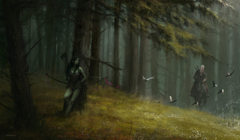 tranquility, fantasy art, beauty in nature, nature, people, woodland, The Witcher, trunk, leisure activity, day, tree trunk, 1080P, The Witcher 3: Wild Hunt