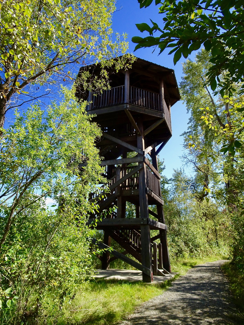 lookout, built structure, building exterior, tree, beauty in nature, direction, sky, sunlight, land, shadow, tower, nature, no people, green color, branch