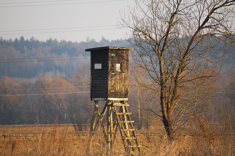 5K, environment, field, plant, sky, architecture, building exterior, water tower - storage tank, hunting seat, tranquility, built structure, hunter was