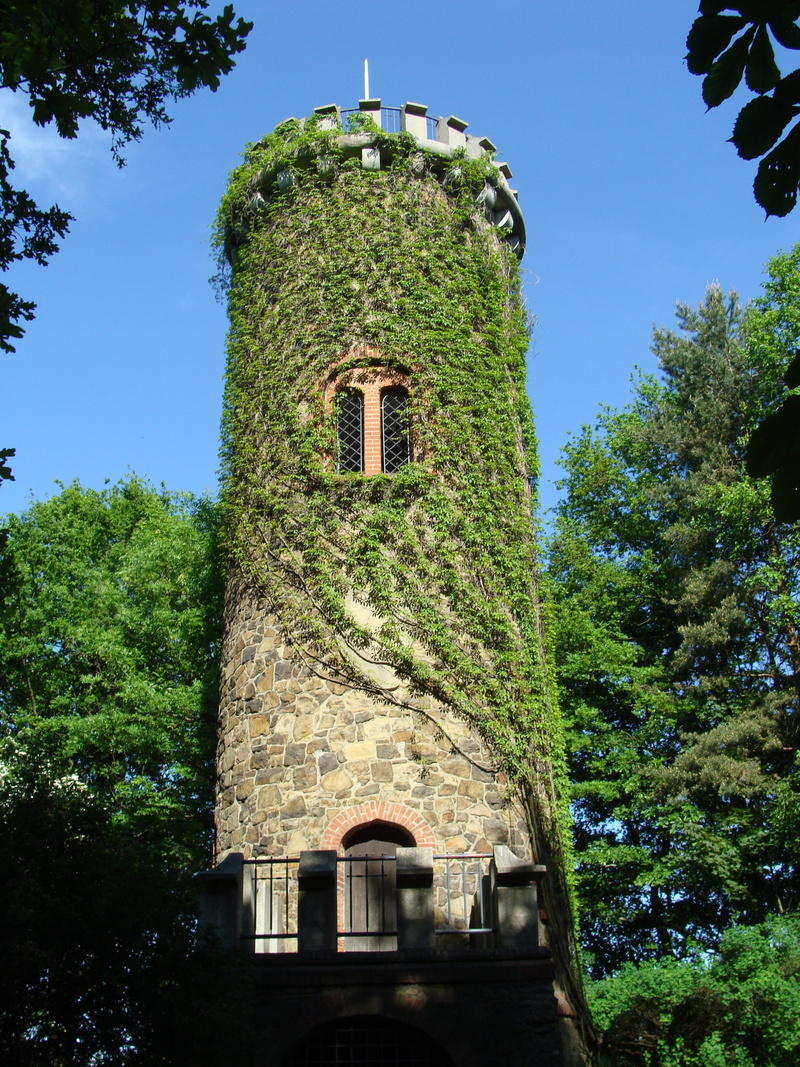 ivy, day, the past, built structure, sky, architecture, building, clear sky, 2K, castle, plant, overgrown, history, building exterior, low angle view