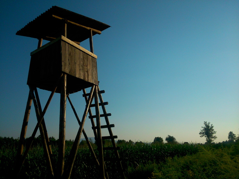 no people, plant, environment, tower, observation point, Nature, outdoors, built structure, Hunting, water tower - storage tank, water conservation, tree
