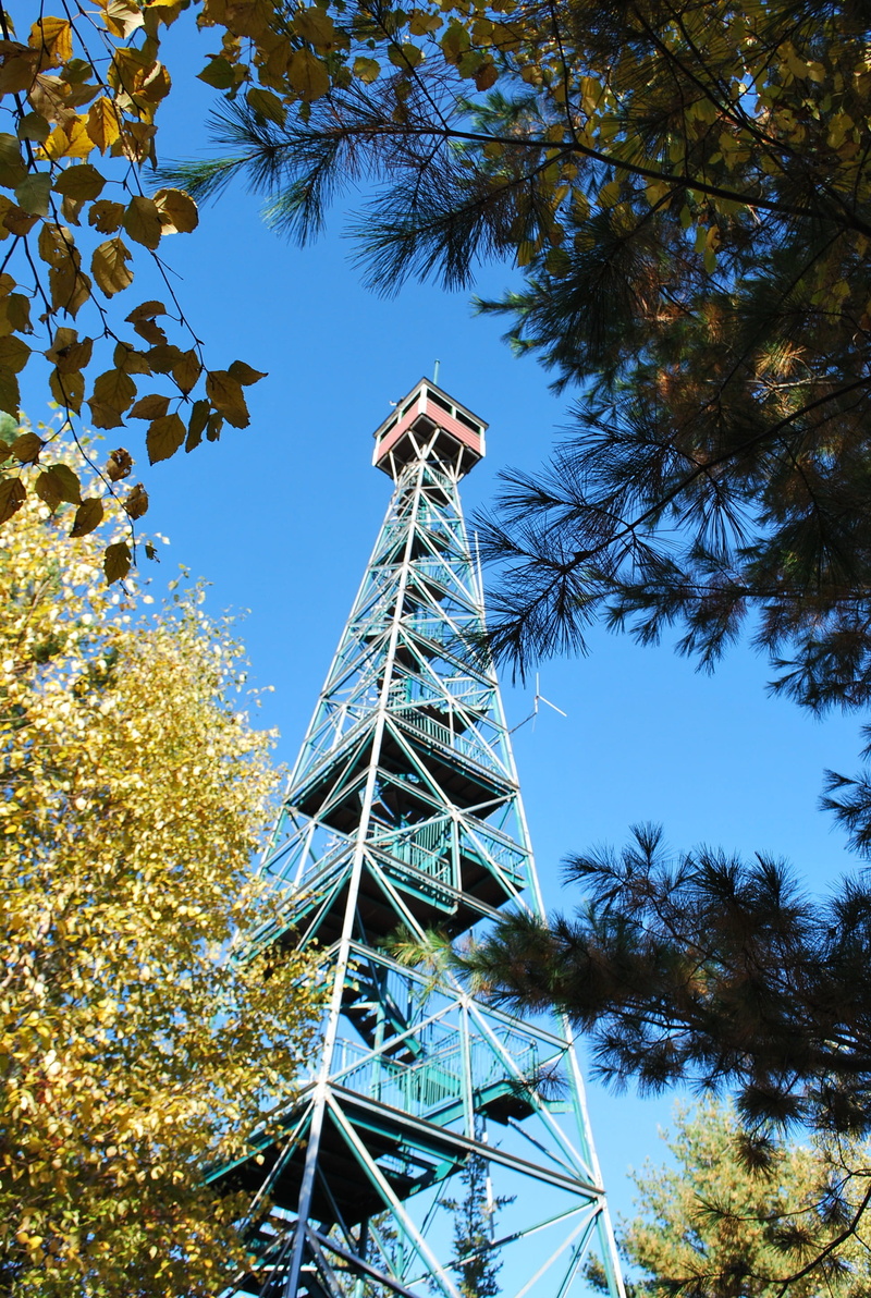 Temagami, autumn, tree, day, forest, technology, low angle view, scenic, plant, blue, connection, global communications, built structure, no people, Tower