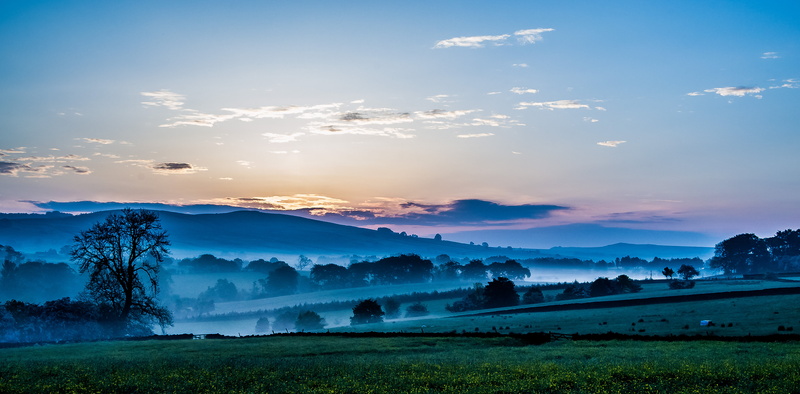 forest, panaroma, lens, cover, fog, fogs, landscape, countryside, golden, 4K, local, sunset, mist, rural Scene, photo, nikon d3100, meadow, sunrise, nikkor
