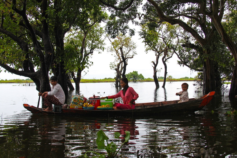 transportation, kompong, cambodia, season, travel, group of people, floating forest, beautiful, tree, forest, floating, trees, people, real people, day