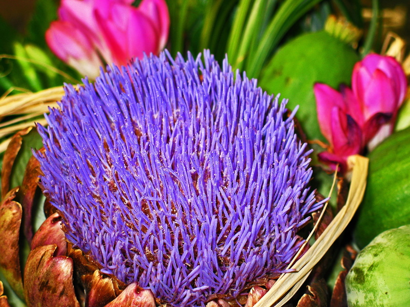 public record, eat, vegetables, food, petal, color, artichoke plant, decoration, close-up, 1080P, deco, flora, farmers local market, beautiful, vegetarian