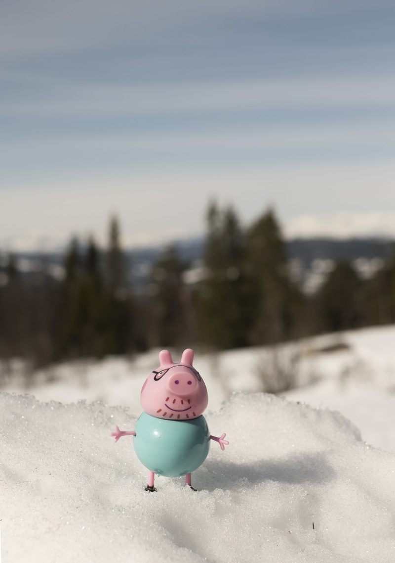 peppa pig, figure, representation, snow, no people, winter, outdoors, field, creativity, white color, toy, 5K, trees, day, cute, small, land, pig, nature