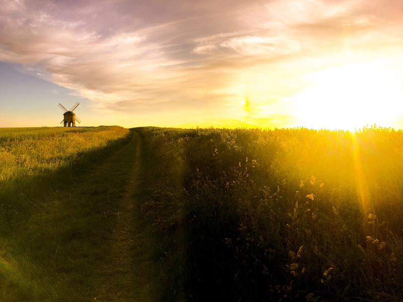 horizon over land, grass, land, non-urban scene, cloudy, cloud - sky, landscape, yellow, united kingdom, golden, dirt road, one person, grassland, tranquil scene