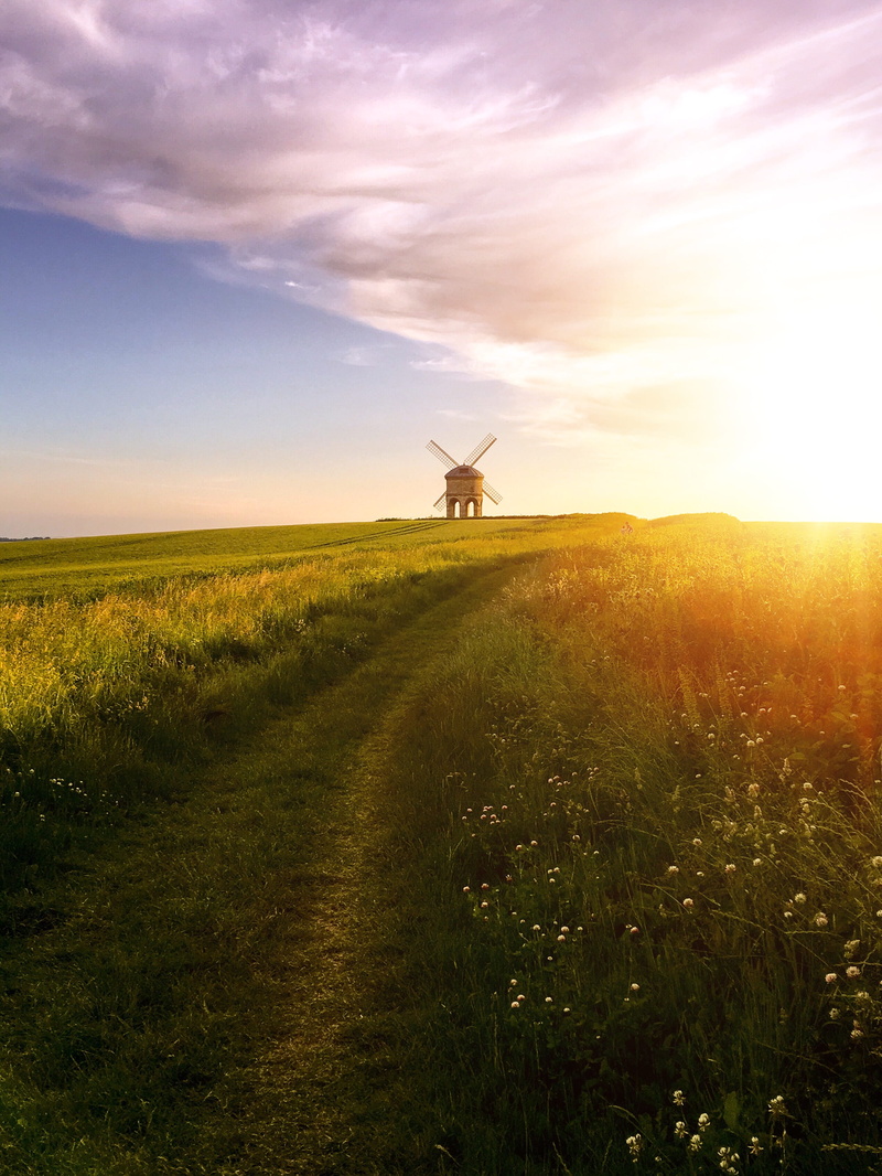 landscape, growth, beauty in nature, outdoors, transportation, air vehicle, dirt road, meadow, sky, flora, tranquil scene, field, brown, tranquility, lens flare