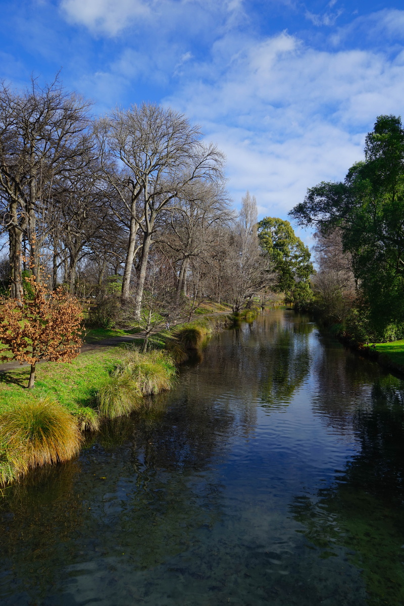 tranquil scene, land, sky, growth, beauty in nature, new zealand, tree, non-urban scene, cloud - sky, plant, christchurch, tranquility, nature, scenics - nature