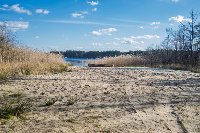 outdoor, sandy, natural, land, recreation, tranquility, coast, ukraine, non-urban scene, tranquil, environment, silence, scenic, tree, cloud - sky, beauty in nature