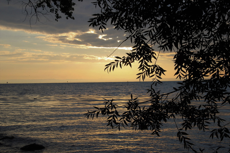 sky, horizon, outdoors, tranquility, in the morning, branches, relaxation, weather mood, bodensee, no people, the silence, sea, scenery, cloud - sky, figure