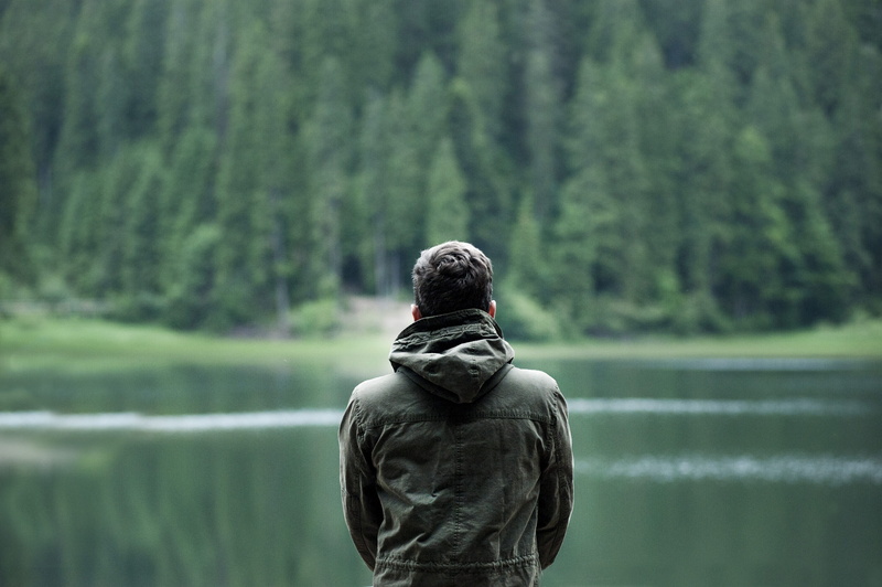 young man, jacket, lake, men, focus, day, relaxation, land, landscape, trees, silence, water, wearing, idyllic, blur, body, nature, park, man, looking at view