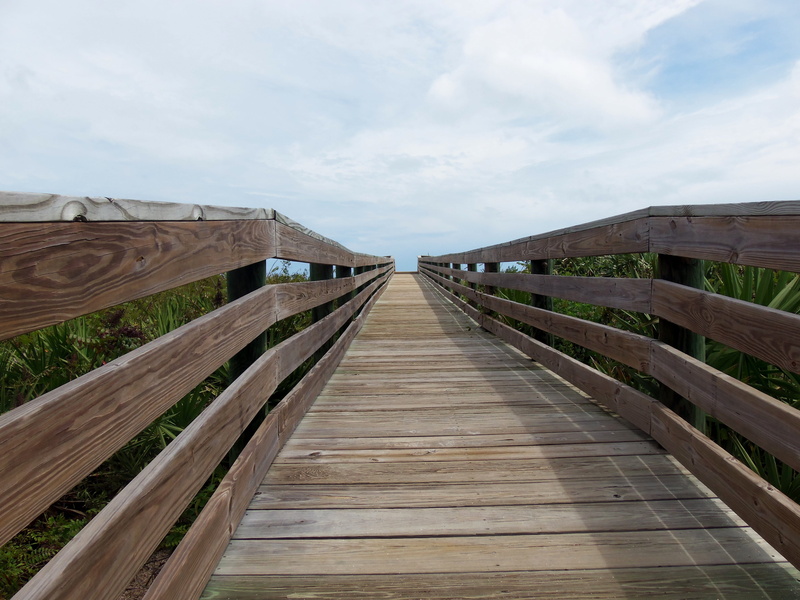 nature, path, boardwalk, wooden, connection, land, bridge, 4K, summer, diminishing perspective, landscape, cloud - sky, built structure, outdoors, silence