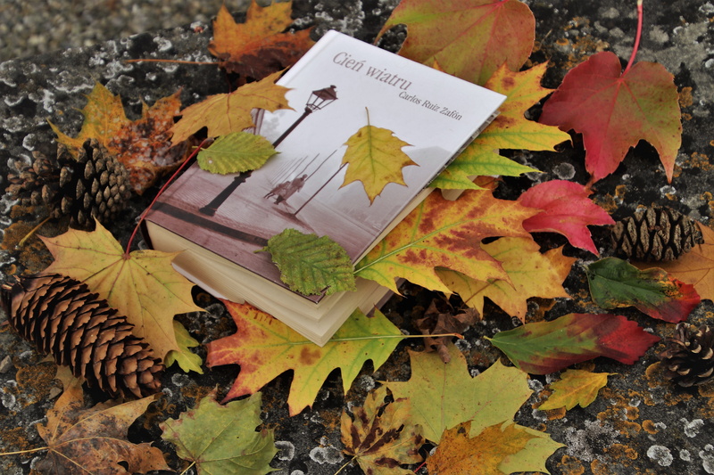 close-up, fall, day, relaxation, leaves, plant, message, orange color, no people, wisdom, at the court of, change, colorful, reading, leaf, 5K, season