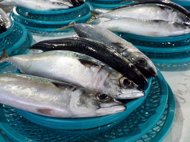 4K, raw food, fresh, Food, retail, Fish, vertebrate, wellbeing, raw, animal, healthy eating, asia, freshness, culture, bream, high angle view, market
