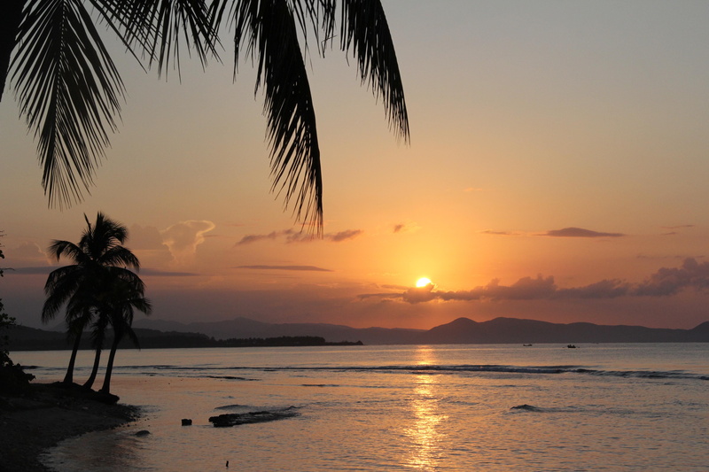 tropical climate, orange color, caribbean, haiti, palm leaf, beach, silhouette, coconut palm tree, dawn, sunrise, idyllic, horizon over water, sunset, vacation