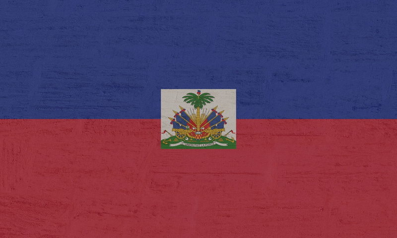 single object, craft, close-up, human representation, haiti, leaf, logo, international, creativity, floral pattern, 1080P, symbol, red, architecture, blue