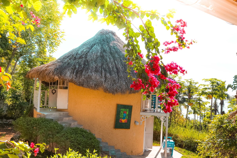 sunlight, adventure, chic chateau, plant, vacation home, vacation, yellow, tree, thatch, thatch roof, haiti, sky, outdoors, 2K, roof, beauty in nature