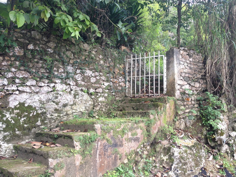 gate, sooc, building exterior, day, outdoors, ruined, kenscoff, nature, abandoned, 2K, architecture, damaged, plant, moss, stone wall, growth, wall - building feature