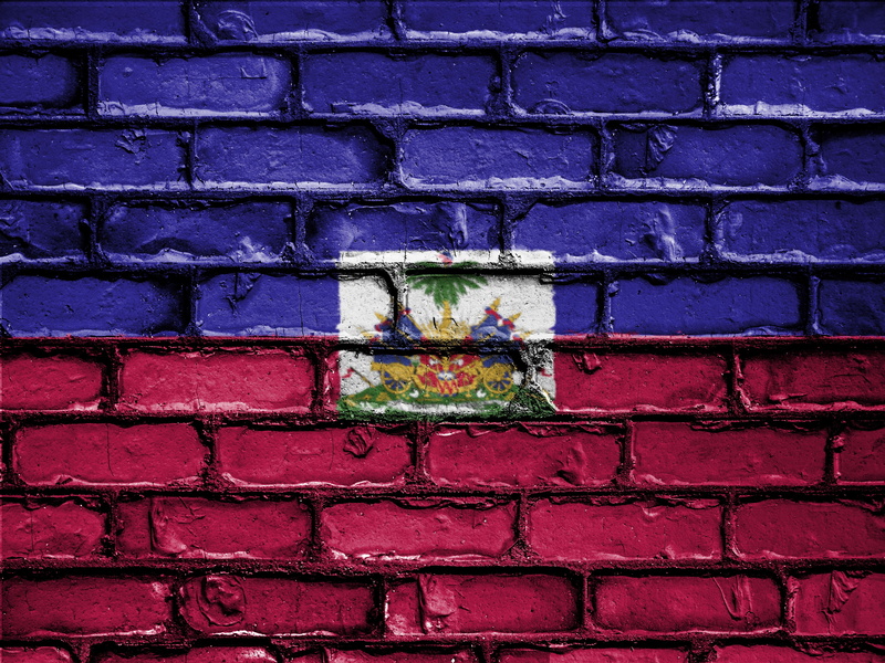 purple, flower, 4K, art, day, patriotic, brick wall, growth, wall, architecture, brick, wall - building feature, fragility, patriot, red, haiti, flowering plant
