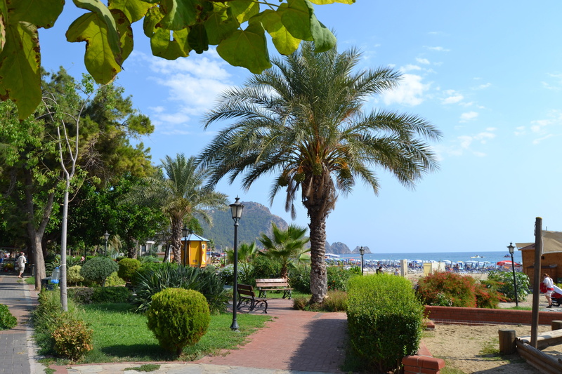 Alanya, Turkey, outdoors, swimming pool, palm tree, Park, Beach, Palm, park, tree, incidental people, plant, tropical climate, beauty in nature, built structure
