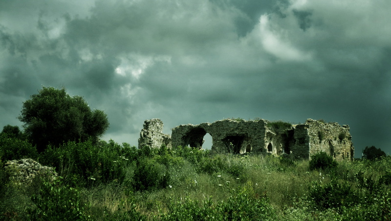 day, tree, ruin, grass, land, outdoors, ancient, plant, old, green color, sky, architecture, archaeology, cloud - sky, built structure, old ruin, history