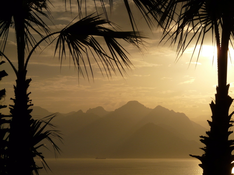 palm trees, growth, sky, ocean, turkish riviera, tranquil scene, cliff, two, mountain range, plant, mountain, idyll, palm leaf, outdoors, palm tree, silhouette