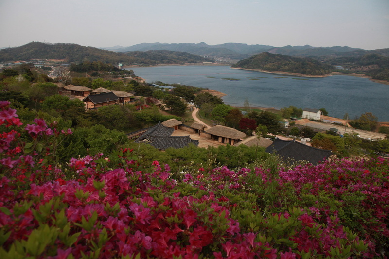 purple, scenics - nature, exotic, land, plant, flower, sea, home, joseon dynasty, no people, water, spring, nature, built structure, beauty in nature, architecture
