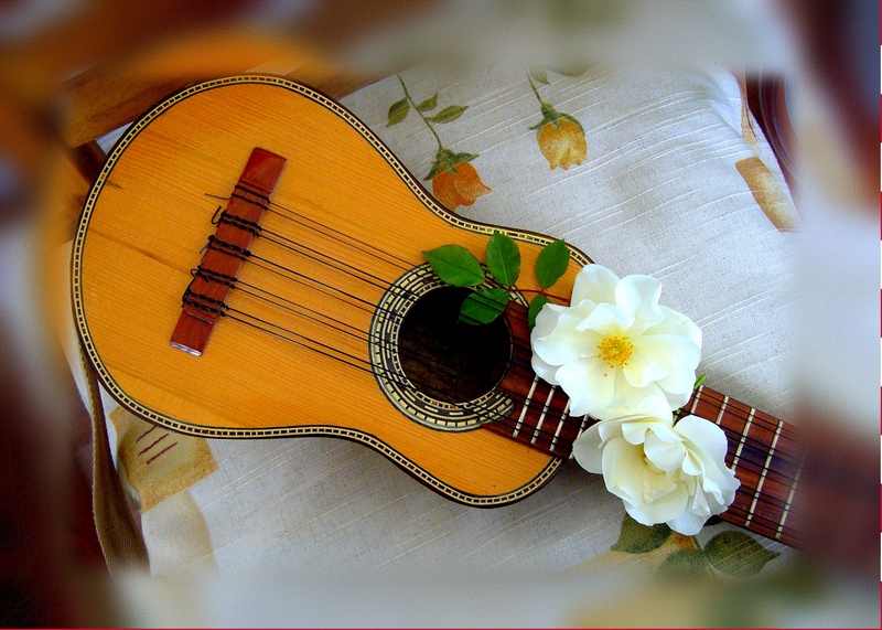 indoors, song, plant, joy, passion, entertainment, cheerful, media, tune, stringed instrument, andean, classical, vulnerability, melody, play, bouquet