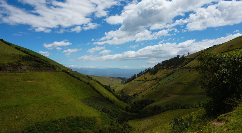 environment, green, land, mountain, agriculture, field, america, ecuador, forest, wild, green color, sky, farm, tranquility, andes, 1080P, lily-of-the-valley