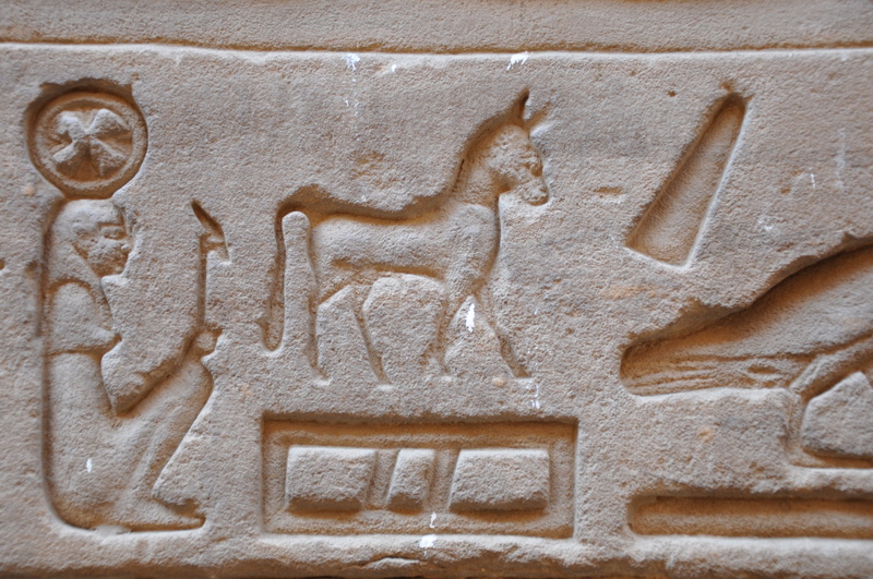 graffiti, hieroglyphs, egyptian temple, close-up, representation, columns, carving - craft product, carving, travel, history, communication, architecture