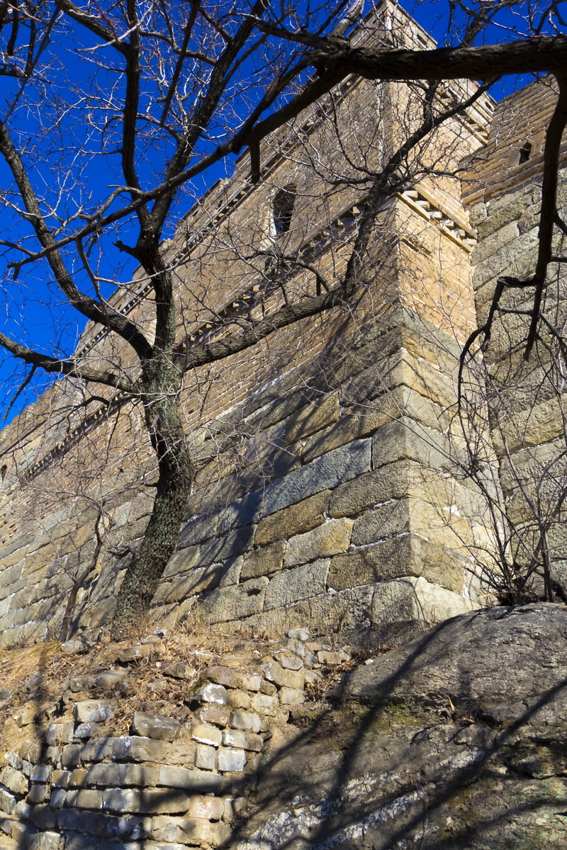 mountain, building, bare tree, blue sky, the past, the city walls, built structure, the scenery, wall, plant, low angle view, winter, wall - building feature