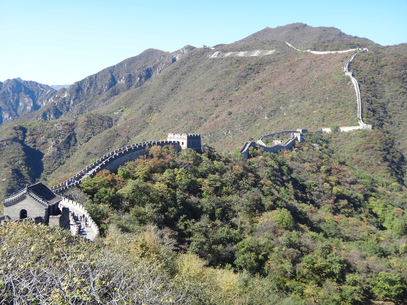 mountains, mountain range, outdoors, idyllic, tree, no people, the great wall, 4K, clear sky, tranquil scene, day, tranquility, architecture, growth, environment