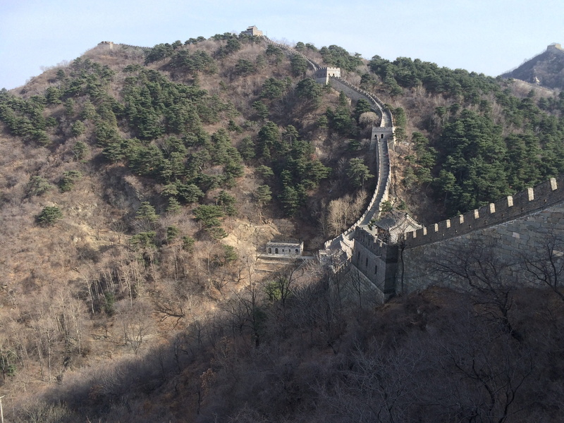 scenics - nature, asia, china, tree, tranquil scene, plant, environment, transportation, great wall, growth, no people, outdoors, day, mountain, travel