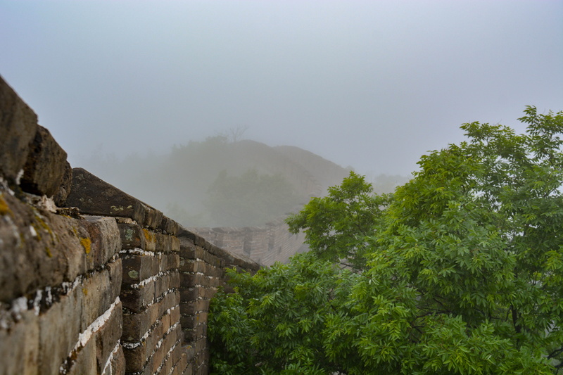 scenics - nature, tree, day, tranquil scene, non-urban scene, fog, beauty in nature, no people, nature, growth, ancient civilization, brick, mist, beijing