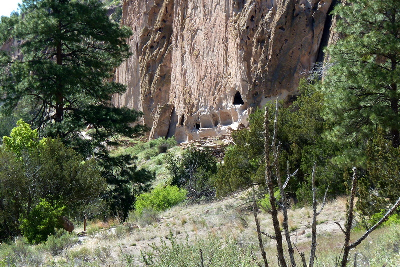one animal, mountain, bandelier national monument, native, tree, new mexico, beauty in nature, plant, formation, architecture, cliff, usa, outdoors, tranquil scene