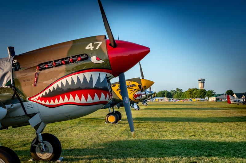 military, sunny, vintage, air vehicle, war, clear sky, no people, fighter, 5K, ww2, land, plant, aviation, travel, aircraft, airplane, field, sunlight
