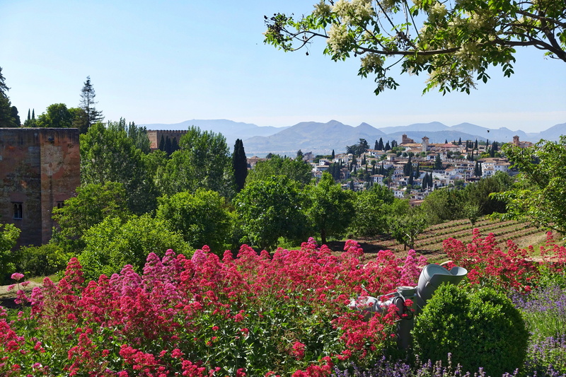 tree, green color, mountain, building, flowering plant, 5K, growth, day, no people, Moorish, Alhambra, building exterior, architecture, residential district