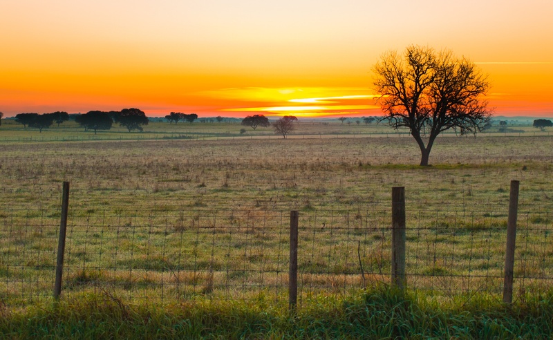 sunset, outdoors, field, 2K, scenic, boundary, fence, plant, gray, nature, wilderness, outdoor, portugal, tranquil, no people, scenery, barrier, landscape