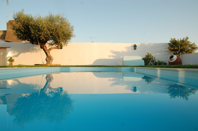 portugal, summer, swimming, olive, tree, blue, beauty in nature, no people, tranquil scene, plant, house, water, alentejo, near, built structure, tranquility