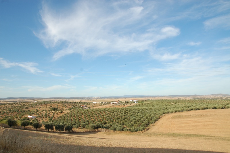 clouds, blue, rolling landscape, scenics - nature, tranquility, environment, cloud - sky, tree, green, growth, agriculture, field, 2K, alentejo, rural scene