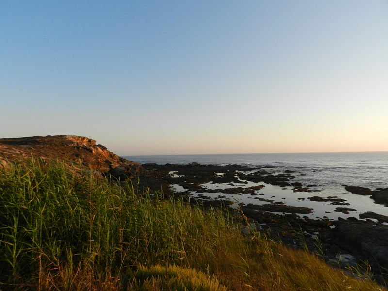 holiday, Beach, grass, summer, costa vicentina, sky, vacation, copy space, land, horizon, shore, nature, scenics, alentejo, sunset, coast, Coastline, travel