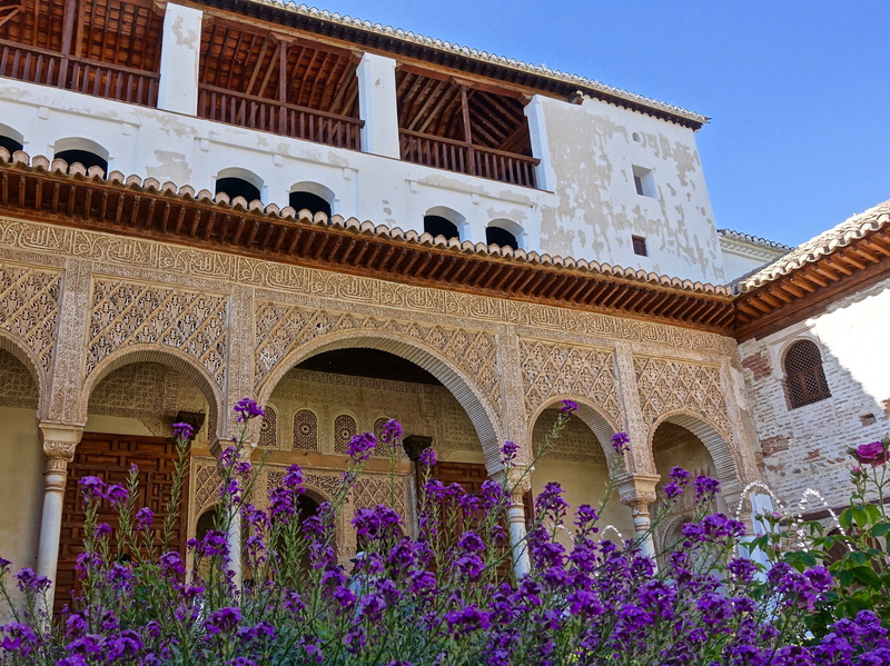 arch, architectural column, history, flowering plant, nature, the past, arabic, travel destinations, building exterior, purple, plant, architecture, 4K