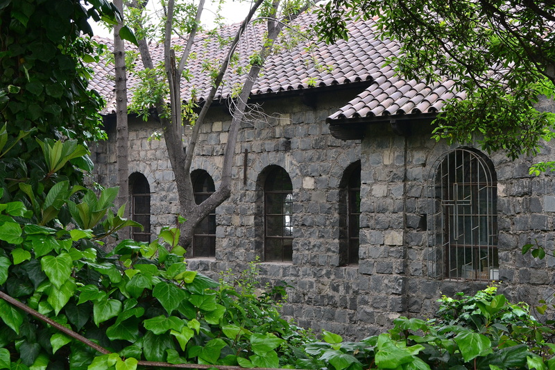 Temple, plant, built structure, nature, sanctuary of the virgin, history, leaf, building, stone wall, day, building exterior, Virgin, growth, outdoors