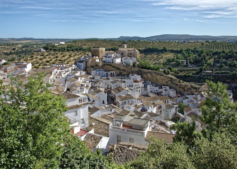 residential district, plant, andalusia, day, roof, townscape, building exterior, house, high angle view, building, city, architecture, beauty in nature