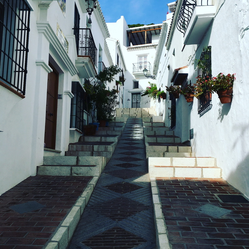 footpath, alley, plant, the way forward, architecture, potted plant, building exterior, outdoors, staircase, direction, no people, holiday, flower, residential district
