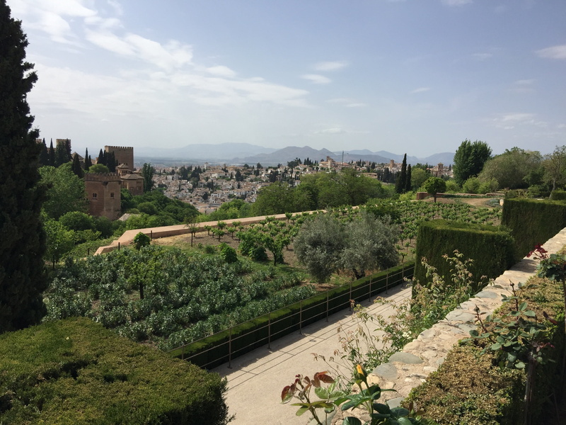alhambra, field, landscape, building, tree, green color, scenics - nature, growth, sky, 2K, outdoors, europe, monuments, granada, day, muslim art, history