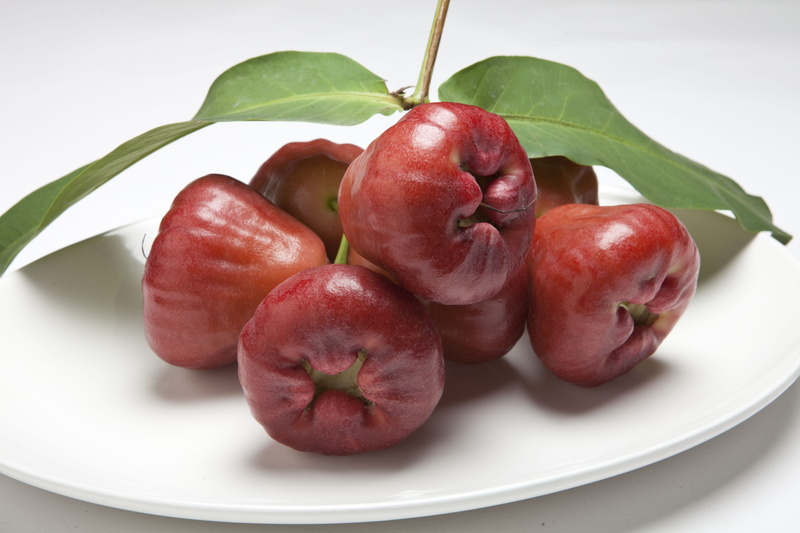 water pomegranate, Water, plant part, surin fog lian fog, white background, 洋蒲桃, plate, 5K, plant, leaf, food, ripe, freshness, food and drink, water generalife
